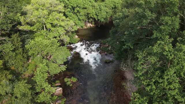 Rio lerez river flowing over rocks surrounded by lush green trees and vegetation