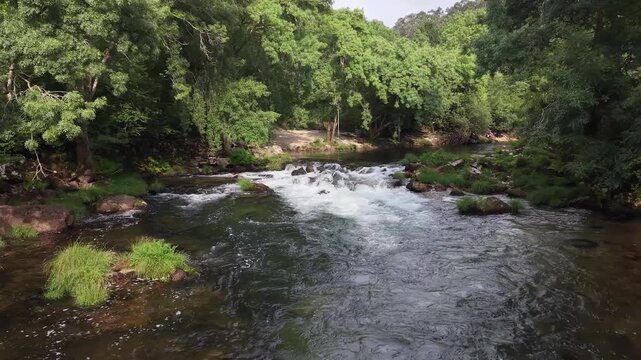 Rio lerez river flowing over rocks surrounded by lush green trees and vegetation