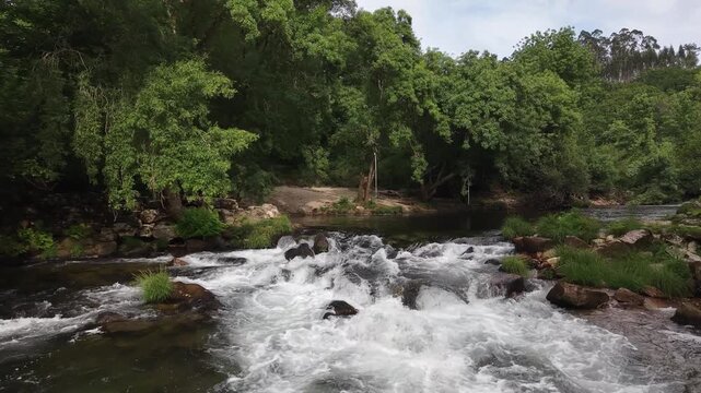 Rio lerez river flowing over rocks surrounded by lush green trees and vegetation