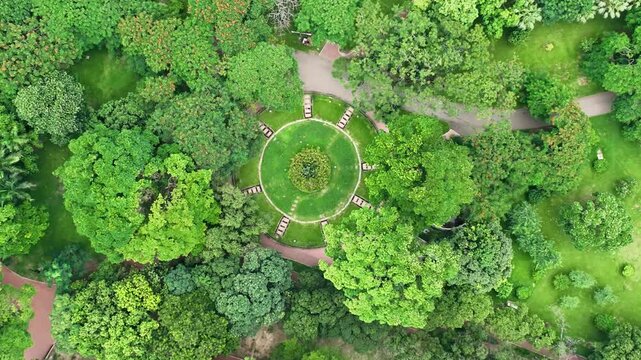 A breathtaking top-down aerial view of a lush green public park