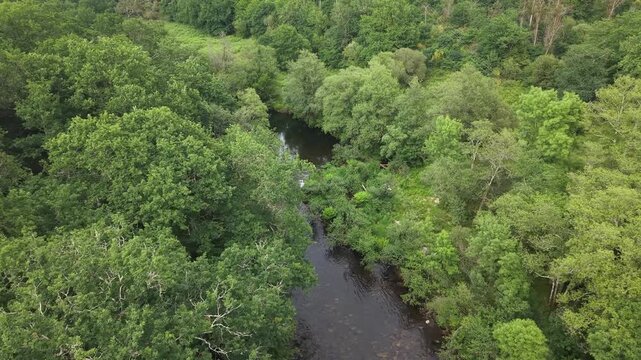 Rio lerez river flowing over rocks surrounded by lush green trees and vegetation