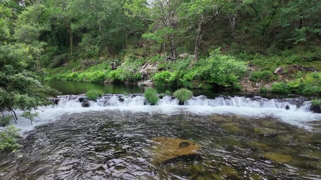 Rio lerez river flowing over rocks surrounded by lush green trees and vegetation