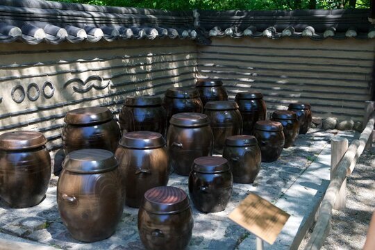 Traditional Korean onggi clay pots for fermentation n a courtyard