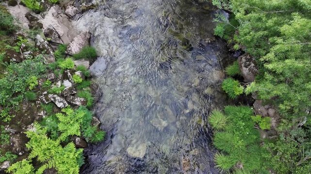 Rio lerez river flowing over rocks surrounded by lush green trees and vegetation