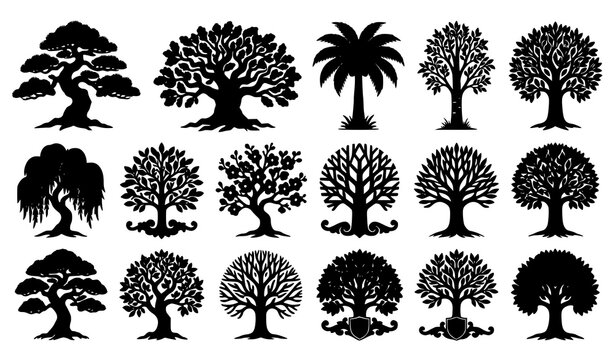 Minimal Tree Silhouette Icons Collection with Diverse Forest Tree Shapes Vector Set Isolated on White Background