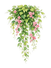 Obraz premium PNG Elegant cascading floral illustration.