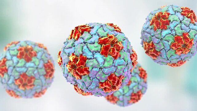 Hepatitis A virus particles, 3D animation showing slowly rotating non-enveloped virions, illustrating RNA virus causing acute liver infection.