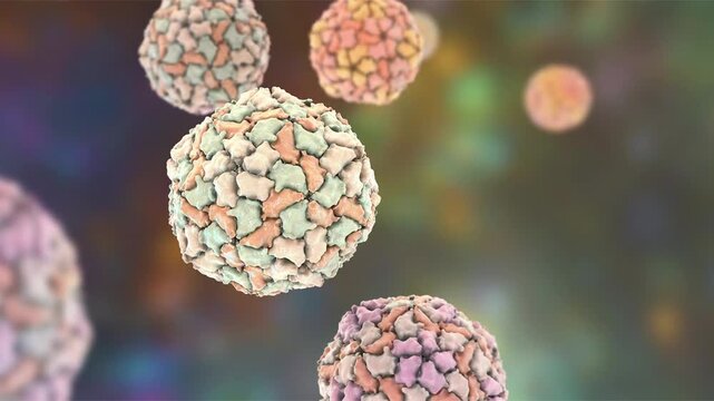 Hepatitis A virus particles, 3D animation showing slowly rotating non-enveloped virions, illustrating RNA virus causing acute liver infection.