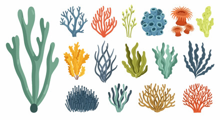 colorful coral reef elements, ocean background, illustration for design © Steven