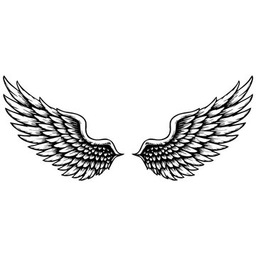 Vintage Angel Wings Vector Illustration, Black and White Hand Drawn Feather Wings Tattoo Design