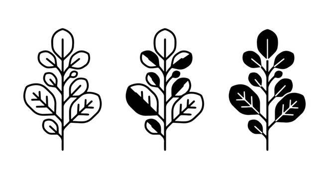 Moringa leaf vector icon set, herbal plant line art, superfood illustration, health and wellness graphic resource