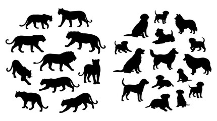 Feline Silhouette Collection Featuring Wild Cats and Domestic Cat Poses for Wildlife and Pet Vector Design © MSTRUMANA