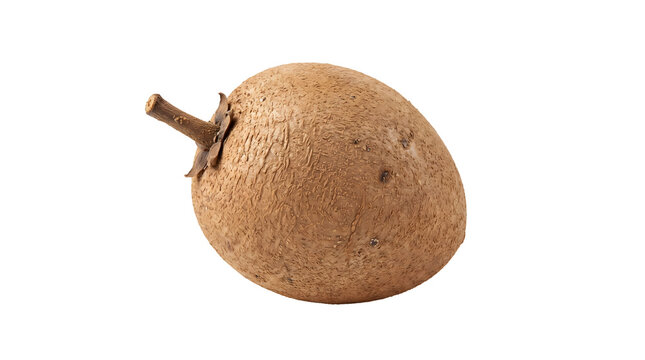 A ripe sapodilla fruit with its rough brown skin and a small stem attached, isolated on a white background