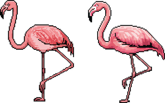 Pixel Art Flamingo Birds Standing Gracefully in Retro Wildlife Style