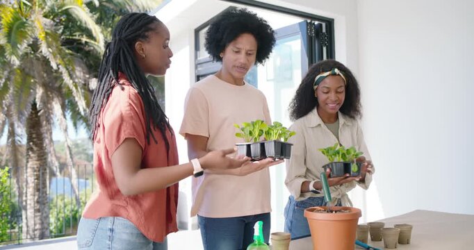 African American friends holding trays, potting seedlings into terracotta pot by folding doors
