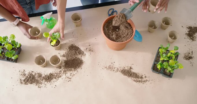 African American friends scooping from clay pot, potting seedlings by glass doors to share plants