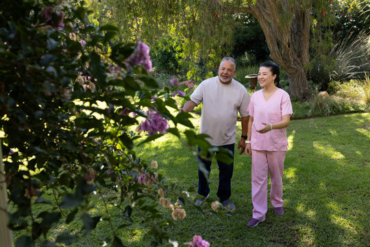 Senior African American man walking, Asian woman in pink scrubs passing shrub in garden, copy space