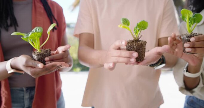 African American friends holding seedlings, inspecting roots, preparing terracotta pot on patio