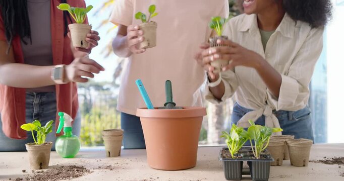 African American friends, gathering seedling tray, potting seedlings at table using trowel to repot