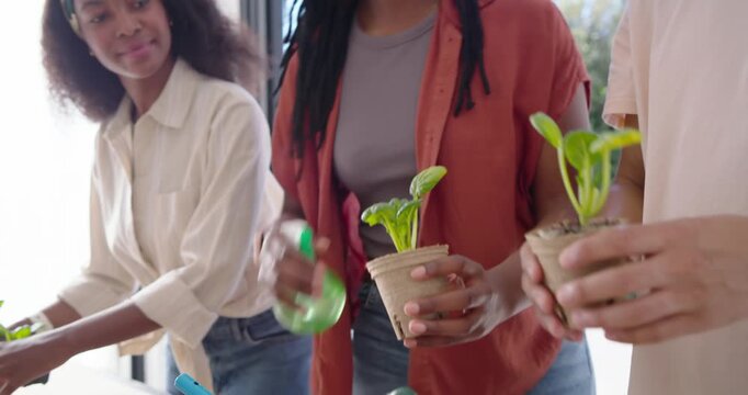 African American friends planting seedlings near glass door using terracotta soil, misting plants