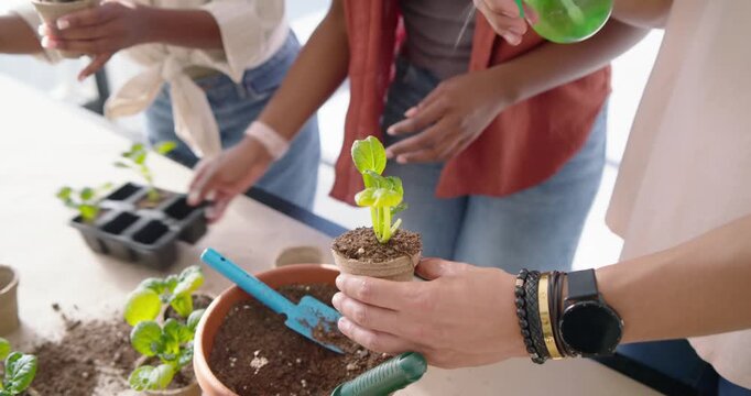 Three friends seeing trowel on pot, scooping soil, potting seedlings, spraying with bottle at table
