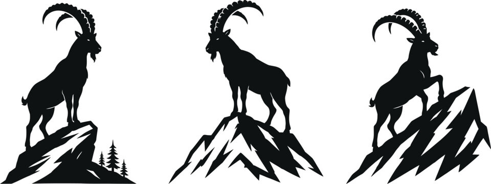 Vector Set of Wild Mountain Goats Standing on Rocks