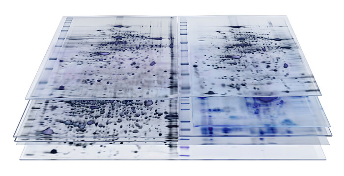​High-Resolution 3D Render of Plant Proteome 2D Gel Electrophoresis Analysis