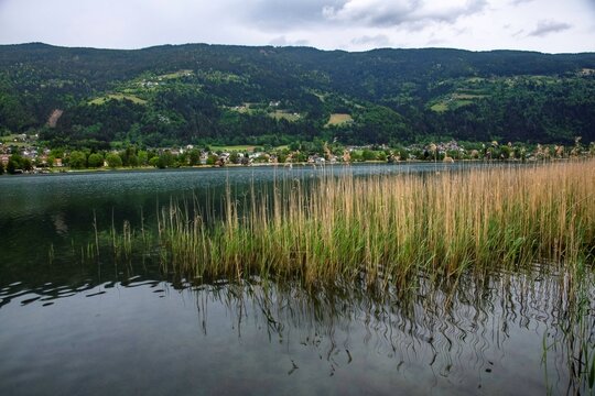 view over Lake Ossiach with mountains cloud sky and reed grass,  a famous travel destination at the Austrian region of Carinthia