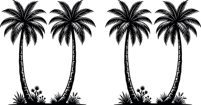 Palm tree silhouettes vector set with tropical coconut palms isolated on white background exotic summer beach designPalm tree silhouettes vector set with tropical coconut palms isolated on white backg