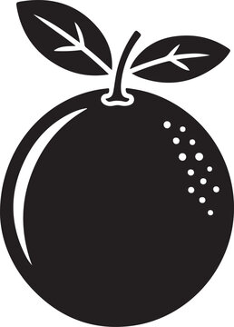 vector illustration of a green  guava