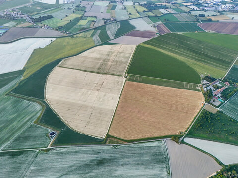 Aerial view of a large circular agricultural field divided into quadrants with varying crop colors in Basso Lodigiano, Guardamiglio, Lombardy, Italy.
