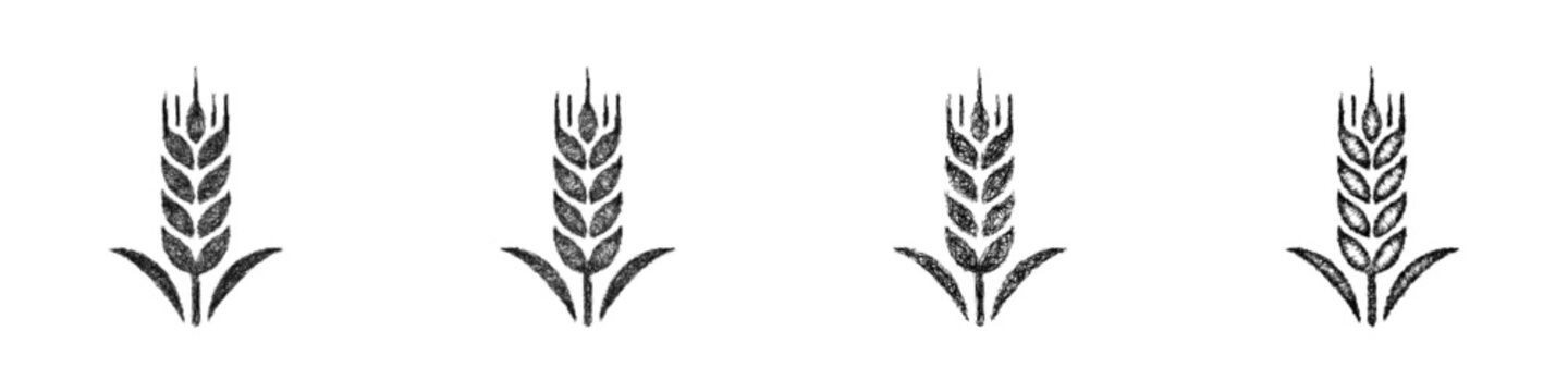 Sketch wheat logo design set