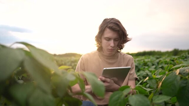 farmer sitting through the field. business farming lifestyle and irrigation concept. a male farmer in a beige T-shirt sitting among green plants in a field, holding a tablet in his hands