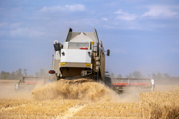 Fototapeta premium A large combine harvester operates in a dry agricultural field during the seasonal grain harvest, kicking up straw and dust while cutting ripe yellow wheat crops under a partly cloudy sky