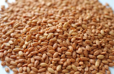 Obraz premium Flax seeds pile on clean white background. Tiny oval seeds have ridges and light brown color. Healthy superfood for diet. Organic ingredient.