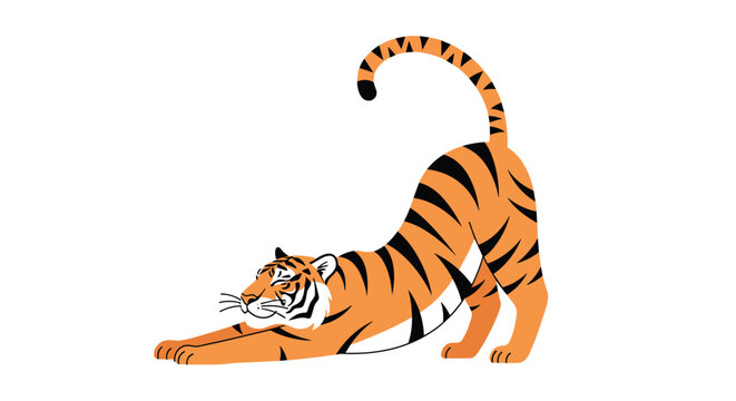 Illustration of a majestic tiger in a deep stretch position showing its orange fur and black stripes on a white background.