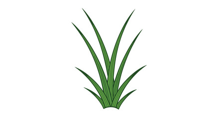 Fototapeta premium Small clump of tall and thin green grass blades growing together, representing common garden or lawn vegetation.