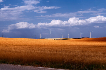 Large group of wind turbines installed in a cultivation area generating renewable electricity, harnessing natural wind resources to produce sustainable energy within an agricultural rural environment. © Itxu