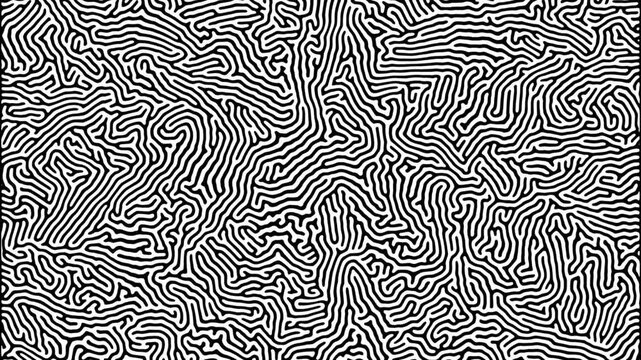 animated differential growth pattern