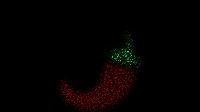 Red Chili Pepper Symbol Particle Animation on Dark Background, Glowing Dot Grid Firework Burst Animation Motion Graphics Seamless Loop, 4K