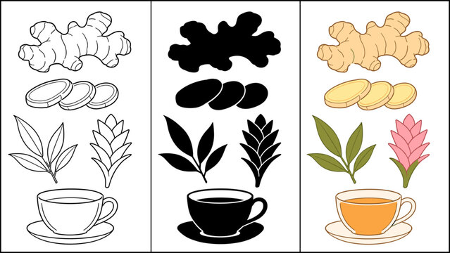 Ginger root, slices, leaves, flower, and cup of tea illustration