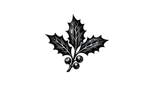 Holly branch silhouette against a white background engraved style illustration