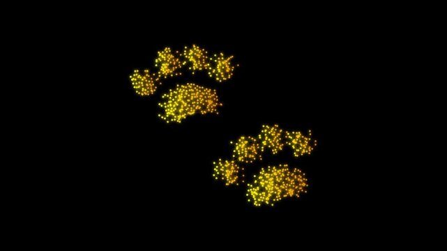 Golden Animal Paw Prints Symbol Particle Animation on Dark Background, Glowing Low Poly Network Lines and Dots Animation Motion Graphics Seamless Loop, 4K
