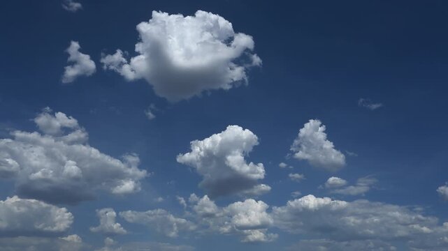 Timelapse of white cumulus clouds growing and moving through a bright blue summer sky. The sky fills the frame
