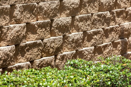 Stone retaining wall sorrounded with bushes

