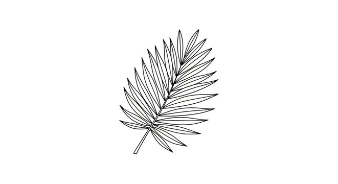 Detailed illustration of a single feather.