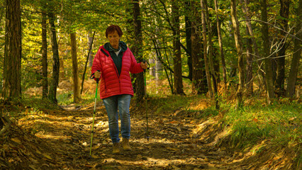 Fototapeta premium COPY SPACE: Retired female listening to a podcast while walking around woods.