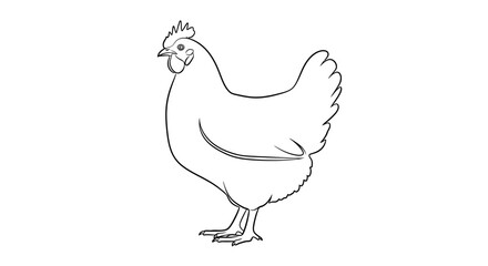 A drawing of a standing hen. © Dhiyak