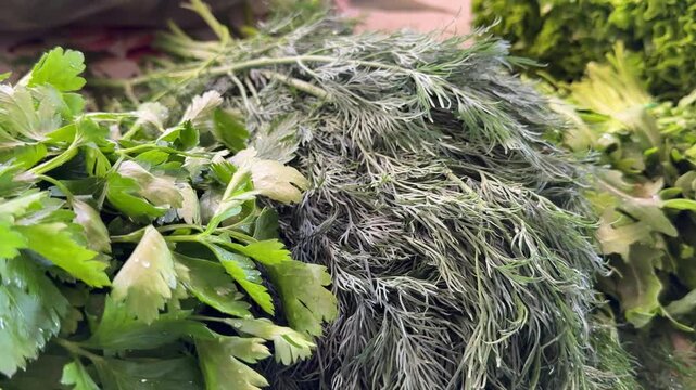 Bright fresh dill with soft feathery leaves displayed in bunches on bazaar counter creating vibrant greenery atmosphere and natural healthy cooking concept.