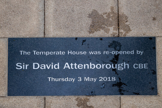 London, UK, 3 May 2026,  Kew garden. Commemorative dark granite plaque embedded in the pavement marking the reopening of the temperate house by Sir David Attenborough.